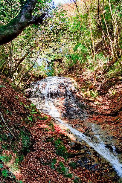 istock beautiful waterfall in Kyoto, Japan 497062228
