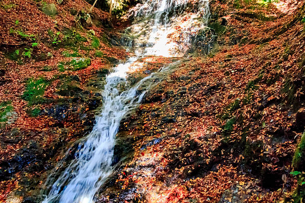 beautiful waterfall in Kyoto, Japan