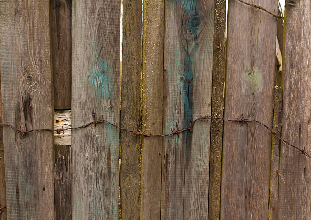 istock Barbed wire on old wooden fence. 497063626
