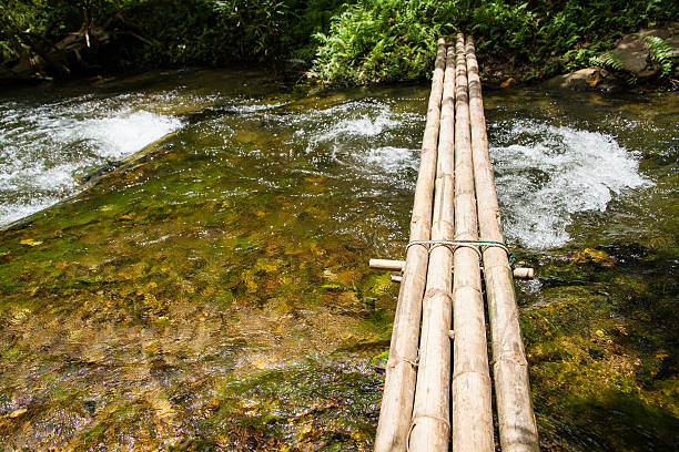 istock Bridge made of bamboo used for crossing streams. 497066504