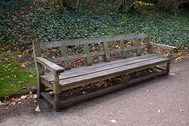 istock Wooden bench in the park 497066696