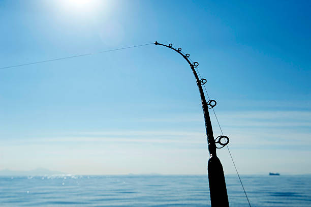 canna da pesca d'altura - pesca daltura foto e immagini stock