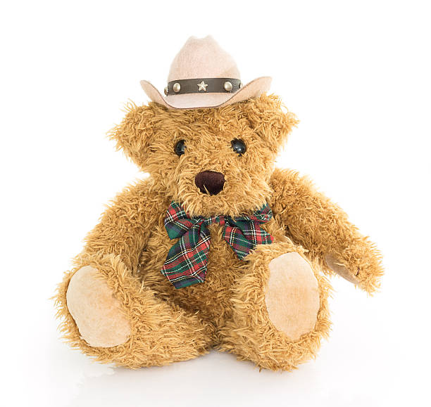 istock Cowboy teddy bear sitting on white 497068516