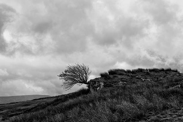 istock Moel Siabod Snowdonia North Wales 497068770