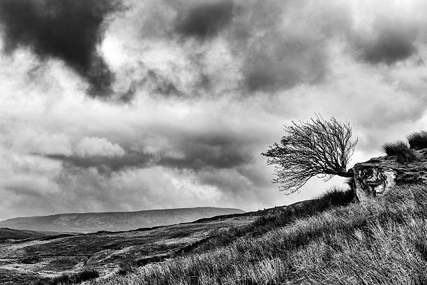 istock Moel Siabod Snowdonia North Wales 497068832