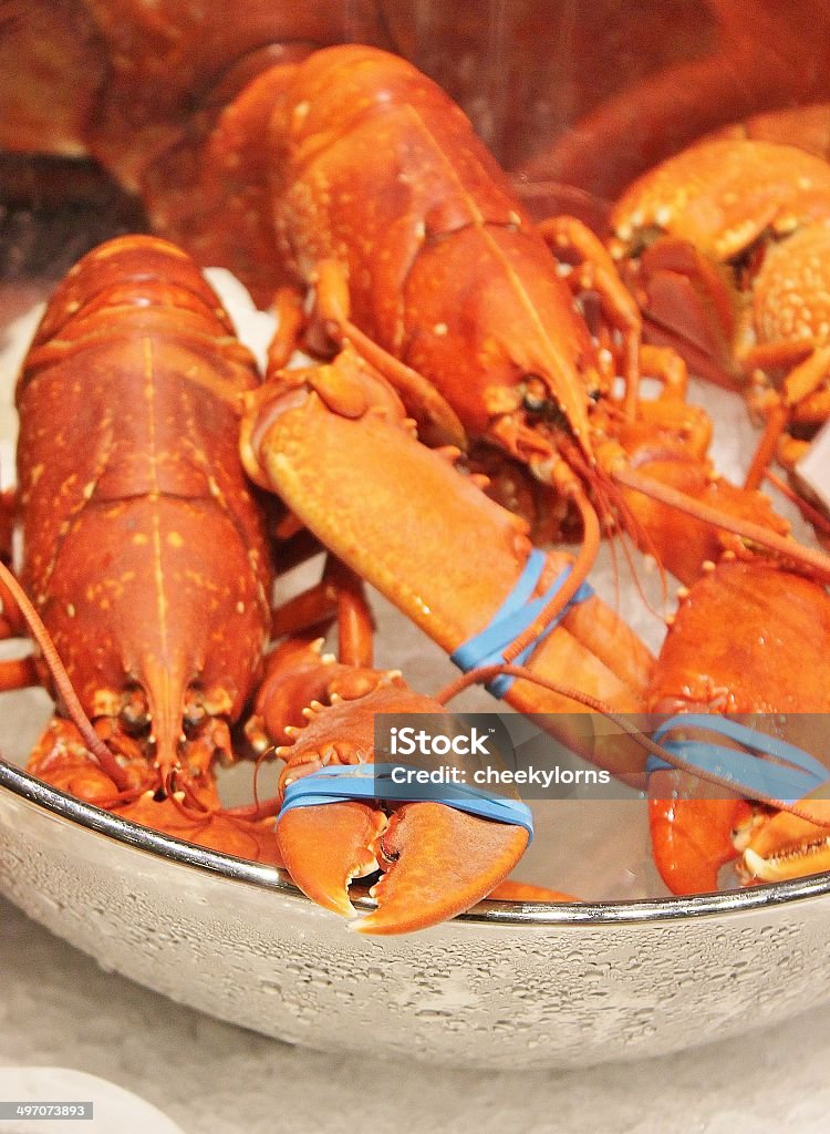 Fresh lobster at fishmonger lobster Animal Stock Photo