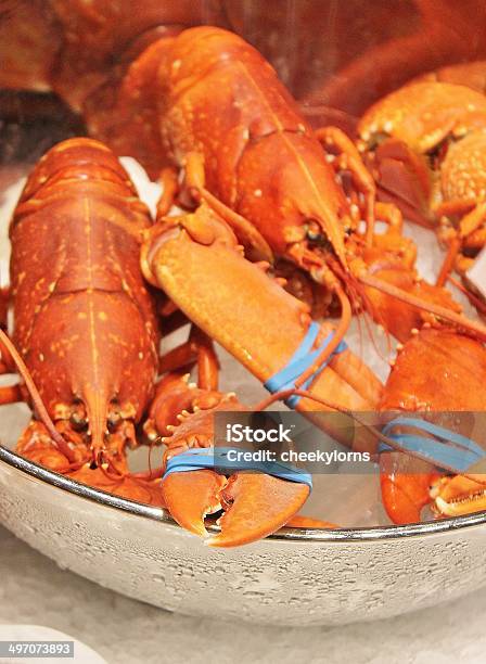 Fresh Lobster At Fishmonger Stock Photo - Download Image Now - Animal, Boiled, Claw