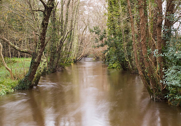 Jubia river in Galicia, Spain. Long exposure in the river in a rainy day.