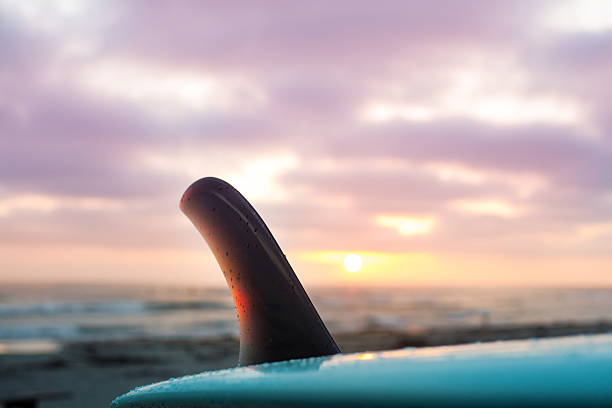 pôr do sol e prancha de surf - surfboard fin imagens e fotografias de stock