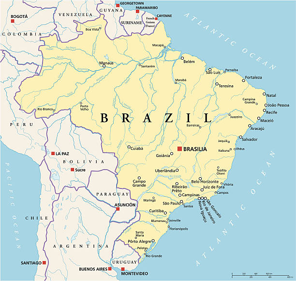 Brazil Political Map Political map of Brazil with capital Brasilia, national borders, most important cities, rivers and lakes. Vector illustration with english labeling and scale. rio parana stock illustrations