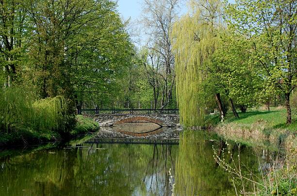 istock bridge across the lake in spring 497080203