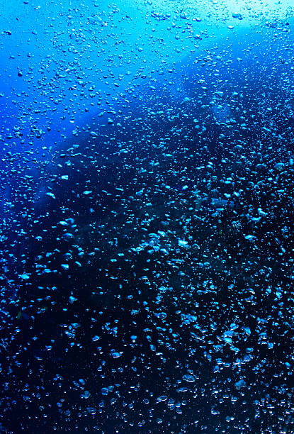 istock Rising bubbles from SCUBA divers on a coral reef 497081419