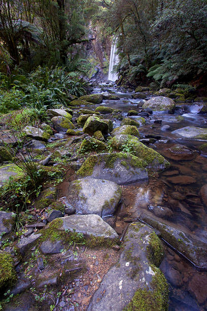 istock Hopetoun Falls at Otway Ranges 497081435