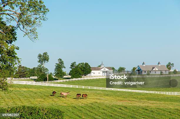 Countryside Stock Photo - Download Image Now - Horse, Kentucky, Ranch