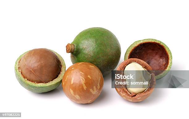 Macadamia Nuts On White Background Stock Photo - Download Image Now - Antioxidant, Brown, Close-up