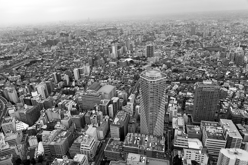 Panoramic view of Tokyo in Japan. Black and white.