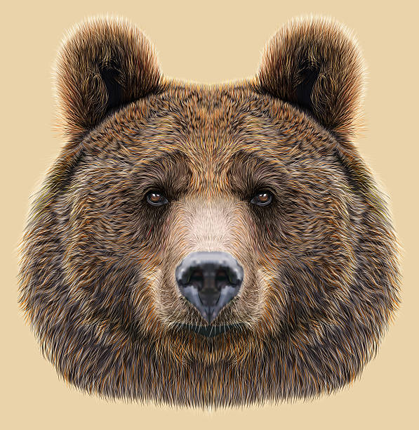 istock Illustrated Portrait of Bear on beige background 497097716