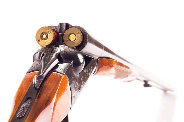 istock Opened double-barreled hunting gun with two cartridges 497097783
