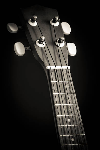 istock close up and focus at ukulele neck 497098151