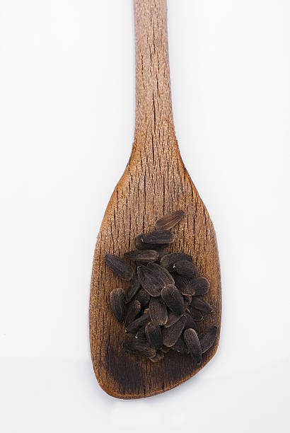 istock Sunflower seeds with wooden spoon 497098809