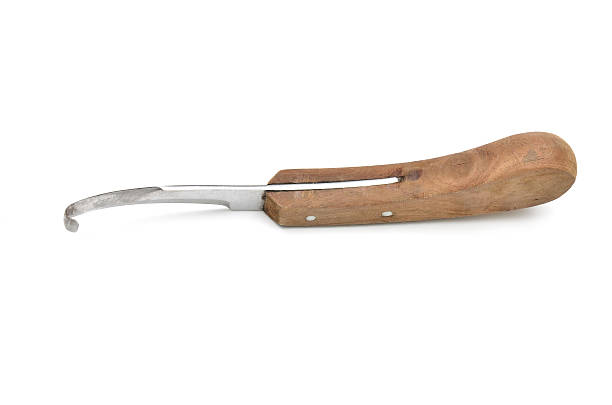 istock knife for trimming animal hoof 497098867