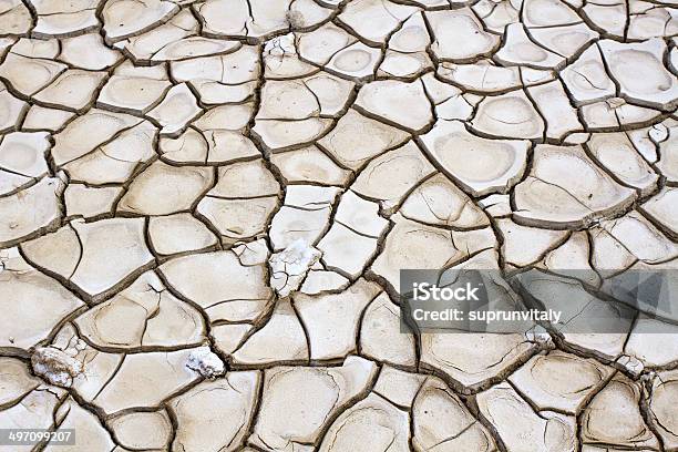 Seca Terra - Fotografias de stock e mais imagens de Esgoto - Esgoto, Macrofotografia, Ralo