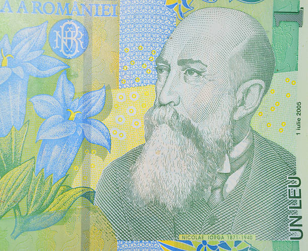 istock Nicolae Iorga Romanian politician on lei banknote 497099374