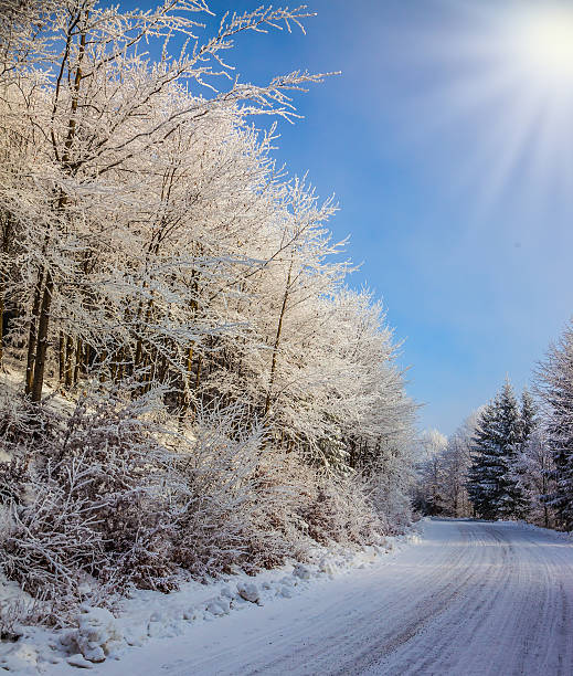 istock Ski track runs along the road 497099476
