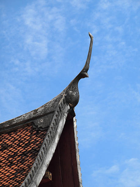 landing アペックス鳥くわえるタイプ - bell gable ストックフォトと画像