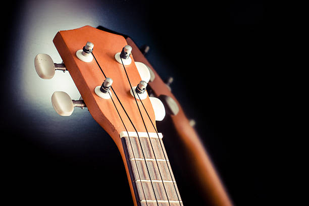 istock close up and focus at ukulele neck 497102165