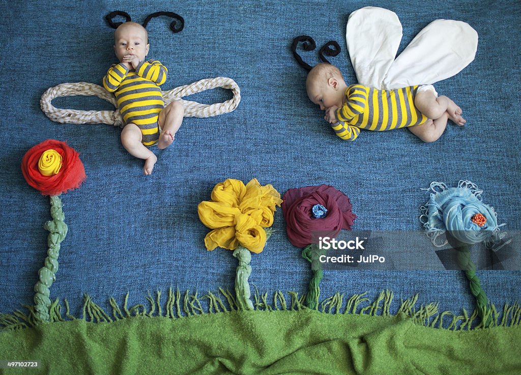 Bee Picture of a bee Baby - Human Age Stock Photo