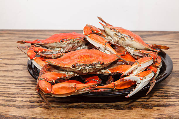 istock Heap of steamed Blue Crabs on a wooden table 497102927