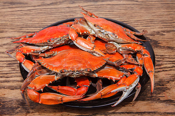 istock Heap of steamed Blue Crabs on a wooden table 497102935