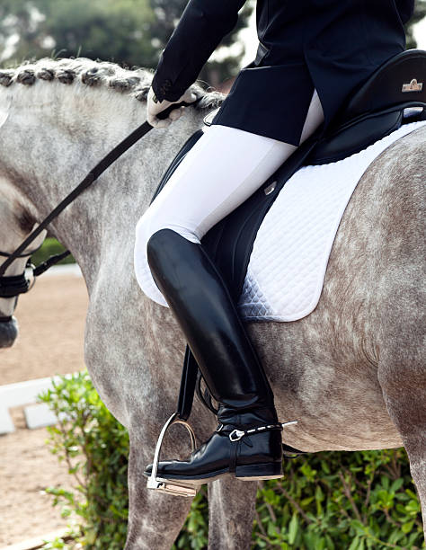istock Rider on a gray horse with a braided mane 497103103