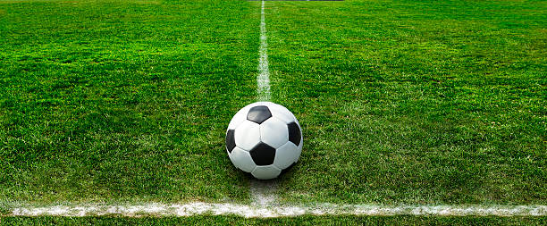 istock soccer field green natural grass 497103469
