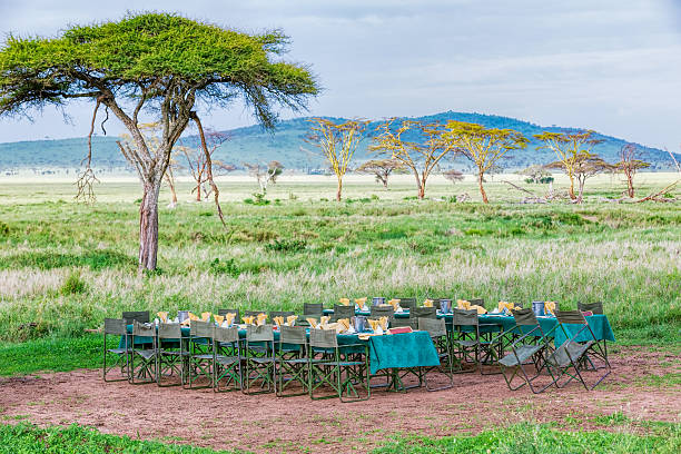 istock Portable Restaurant and Africa Acacia Trees 497103732