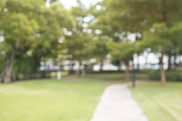 istock Blurry green garden with blurred walkway. 497104252
