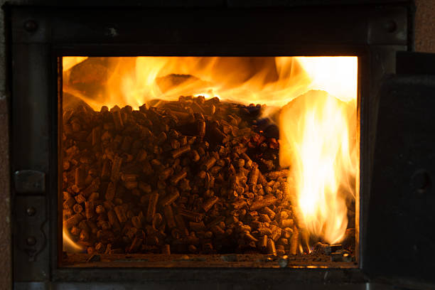 istock burning in the furnace pellets from pine 497104520