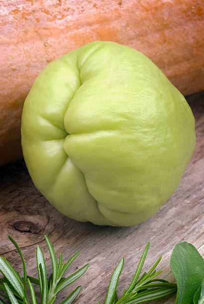 Chayote (Sechium edule) The chayote (Sechium edule) is a vegetable native to south america. chavote stock pictures, royalty-free photos & images
