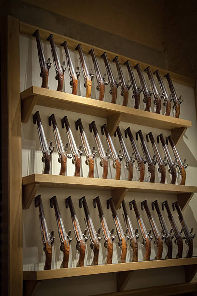 istock Lots of guns 497111113