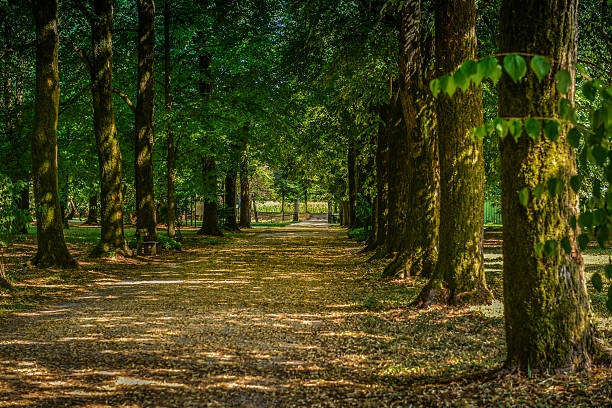 Avenue em estilo mediterrâneo - foto de acervo