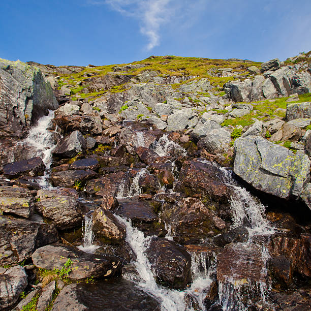 Beautiful Norwegian Summer Panorama Mountain Landscape near Trolltunga, Norway norway, nature, trolltunga, fjord, mountain, landscape, oslo, tongue, troll, hiking, norge, scandinavia, odda, summer, fjords, norwegian, lake, rock, iceland, reykjavik, ringedalsvatnet, hardanger, scandinavian, oslofjord, roldal, sognefjord, beautiful, blue, tourism, nordic, hardangervidda, prekestolen, preikestolen, kjerag, briksdal, Eidfjord, hordalann, Sognefjord, Hardangerfjord, Lysefjord, Geirangerfjord, Nordfjord, Oslofjord, Fjord Norway, Kjeragbolten, Pulpit Rock, Trollstigen, Voringsfossen, Vibrant, norway lysefjorden fjord norwegian currency stock pictures, royalty-free photos & images