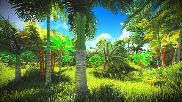 istock Lush vegetation in jungle 497116118