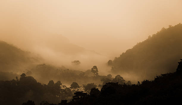 istock Morning Fog Landscape 497116328