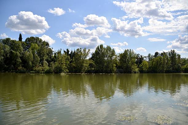 Arno river green riverside in Florence, Italy