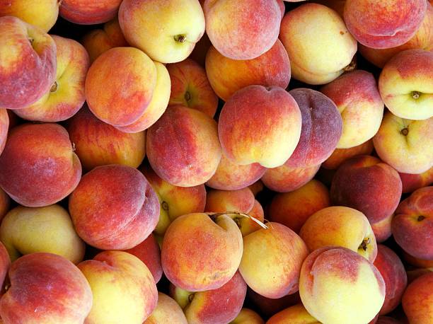 istock golden,sweet peaches 497119278