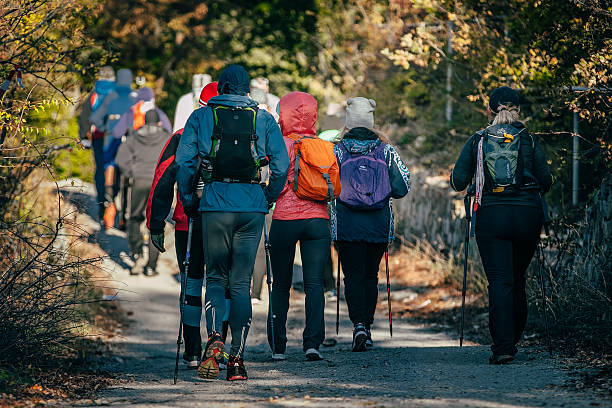 group athlete with sticks to walk started Yalta, Russia - October 31, 2015: group athlete with sticks to walk started during First Yalta mountain marathon northern european descent stock pictures, royalty-free photos & images