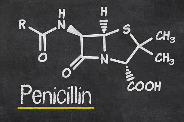 pizarra con la fórmula química de la penicilina - penicillin fotografías e imágenes de stock