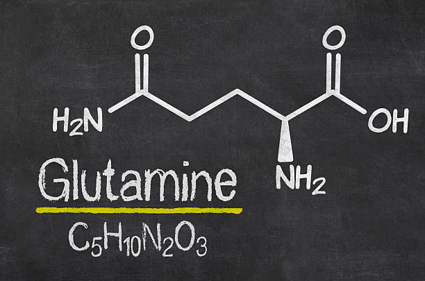 istock Blackboard with the chemical formula of Glutamine 497123832