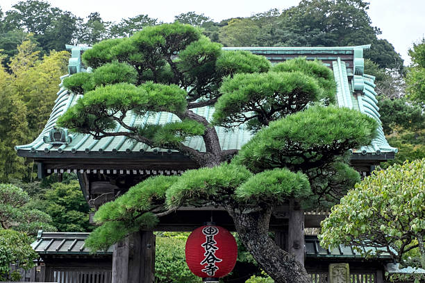 tempio hasedera in kamakura - hase temple foto e immagini stock